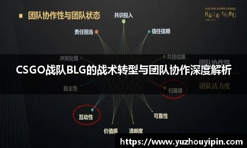 CSGO战队BLG的战术转型与团队协作深度解析